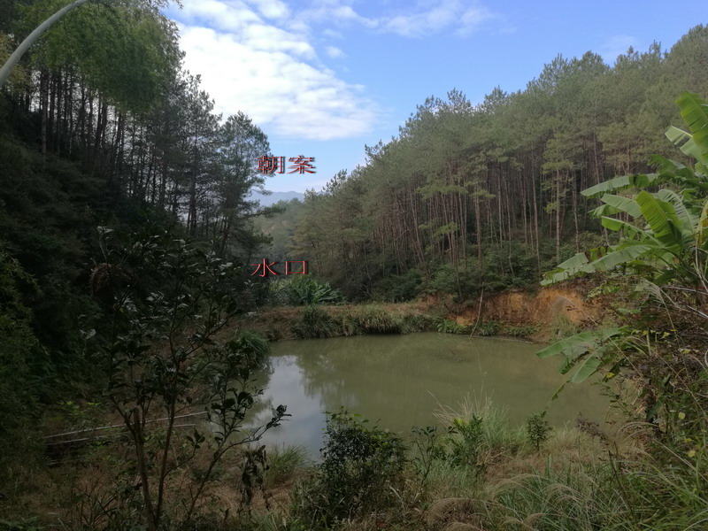 IMG_20170102_101116.jpg