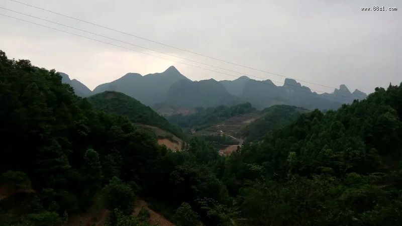 贵州安顺紫云蚂蚁坟 贵州安顺紫云蚂蚁坟