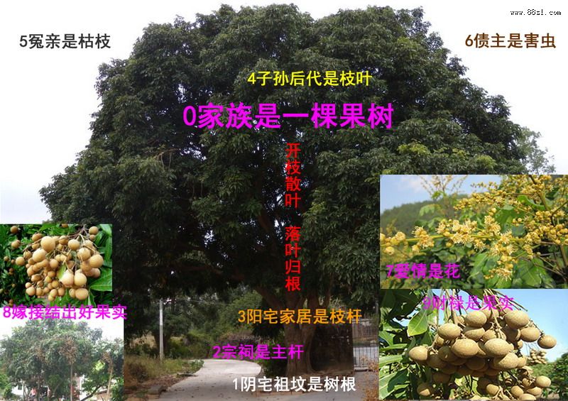 经验总结:你为什么会来找我们? 经验总结:你为什么会来找我们?