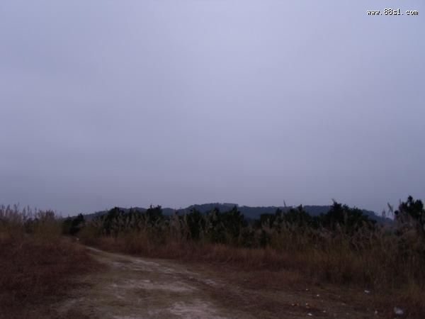 神龙尺(寻龙尺)应用实验 神龙尺(寻龙尺)应用实验
