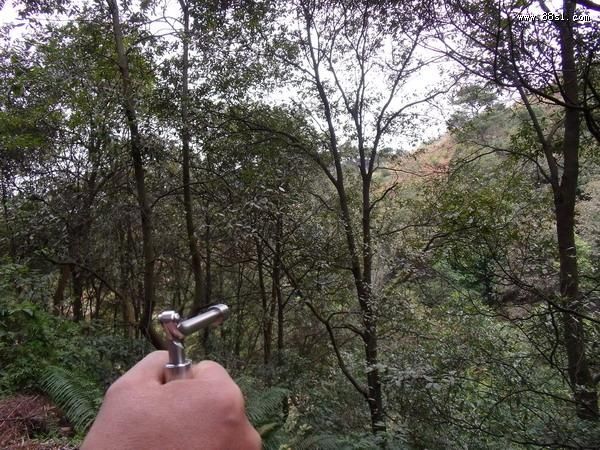 神龙探穴器(寻龙尺)的使用方法 神龙探穴器(寻龙尺)的使用方法
