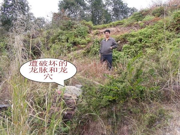 神龙探穴器(寻龙尺)的使用方法 神龙探穴器(寻龙尺)的使用方法