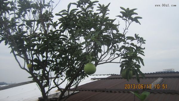 家居风水好运法则