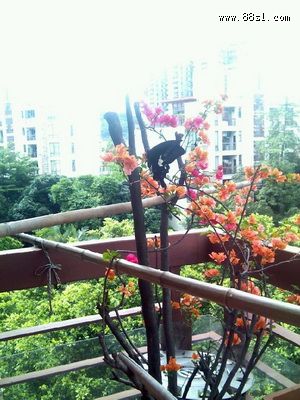 家居风水好运法则
