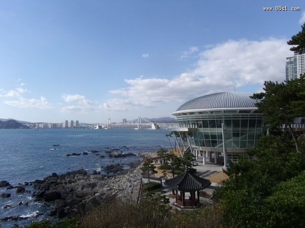 韩国之旅