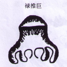 ֮»ͼ