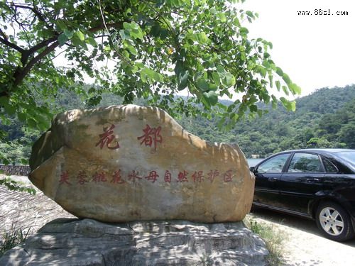 花都芙蓉幛放生