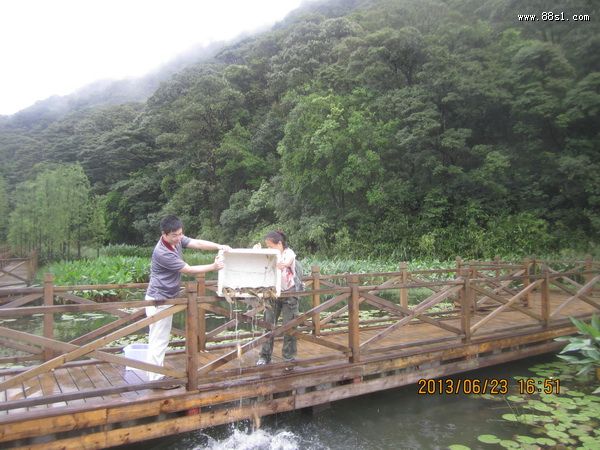 从化石门岭放生记