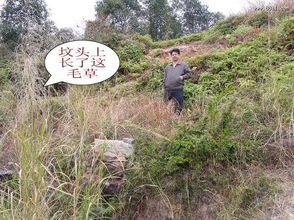 神龙尺(寻龙尺)应用实验 神龙尺(寻龙尺)应用实验