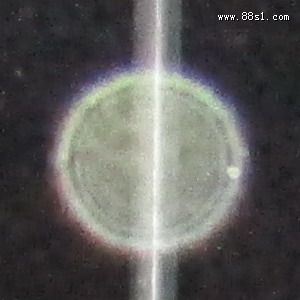 堕胎后犯阴邪化解（148）