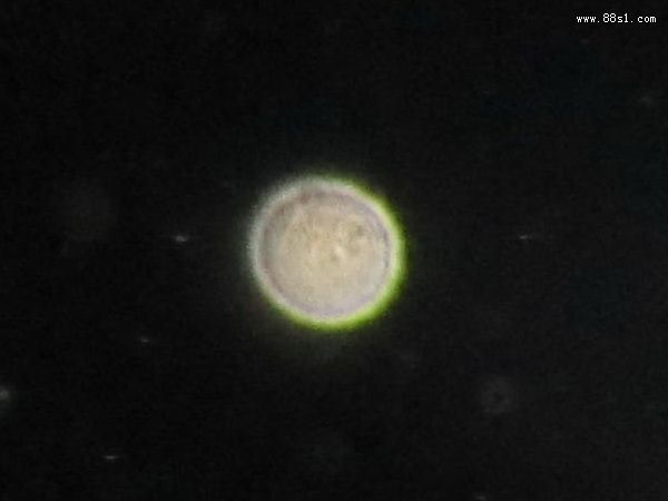 超度祈福法事(81)悲喜道别