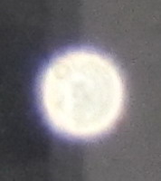 旧厂房调风水转运大法 旧厂房调风水转运大法