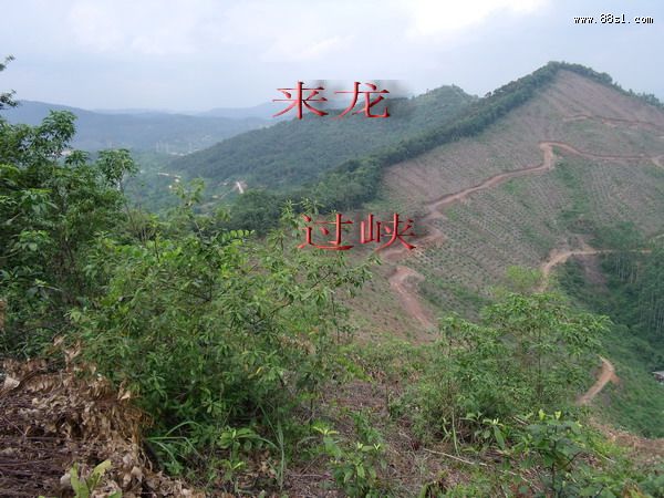 十年磨一剑,福己福人修祖坟