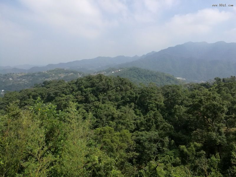 王永庆祖坟:灵猴抱金穴 王永庆祖坟:灵猴抱金穴