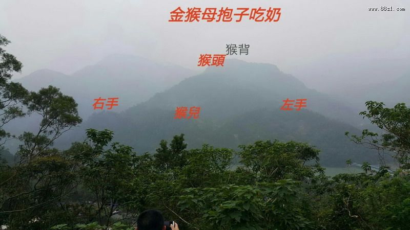 王永庆祖坟:灵猴抱金穴 王永庆祖坟:灵猴抱金穴