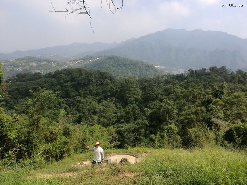 王永庆祖坟:灵猴抱金穴 王永庆祖坟:灵猴抱金穴