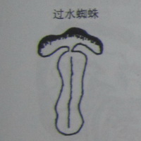 撼龙经之右弼星图解