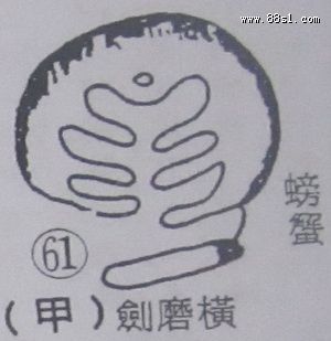 撼龙经之禄存星图解