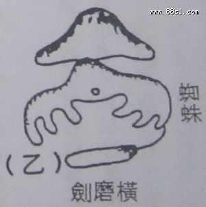 撼龙经之禄存星图解