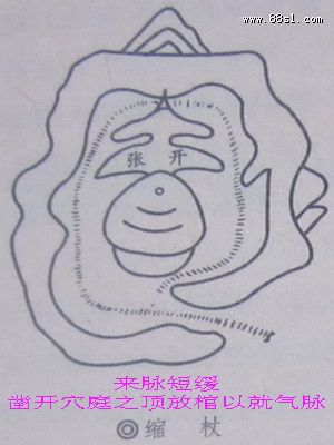 ʮȷ