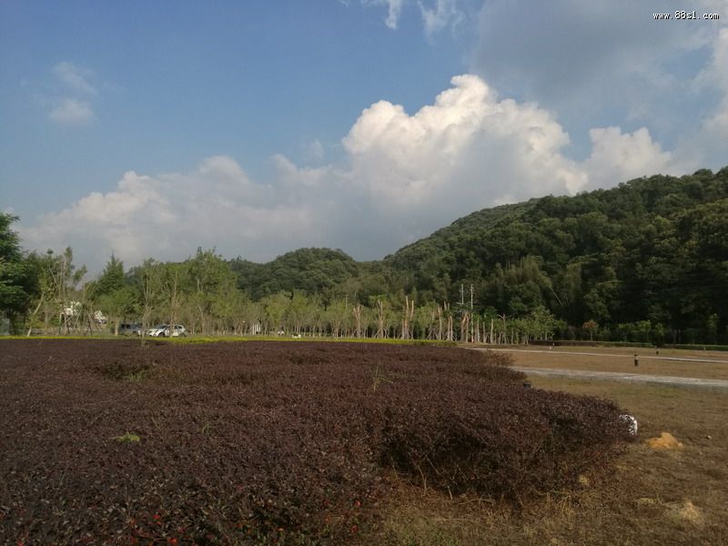 祖师加持传三元风水真法