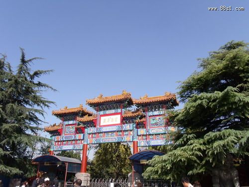 神龙得水 我和龙神有个约会 神龙得水 我和龙神有个约会