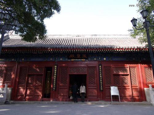 神龙得水 我和龙神有个约会 神龙得水 我和龙神有个约会