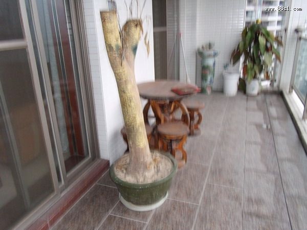 冤亲债主与风水2伤口为什么不癒合？
