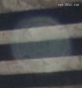 龙母庙还愿放生