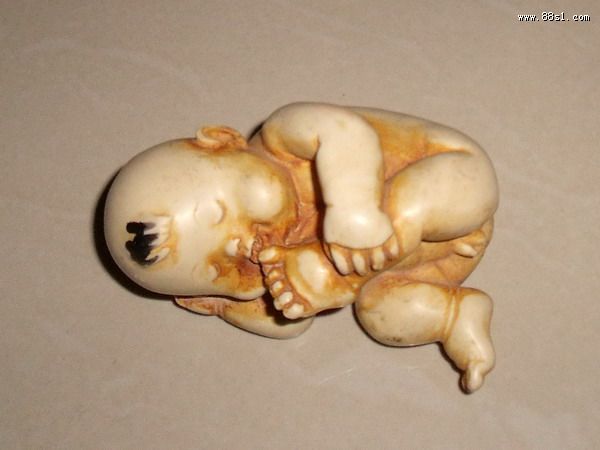 柳州之行法事催婚定姻缘
