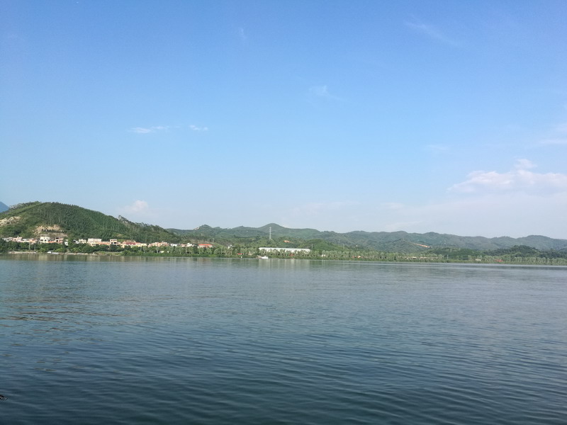 曾子南先师留题：猛虎擒羊生基
