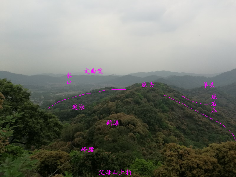 曾子南先师留题：猛虎擒羊生基