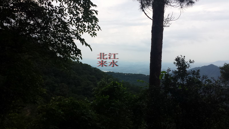 民国初期清远首富麦长天祖坟考察 民国初期清远首富麦长天祖坟考察