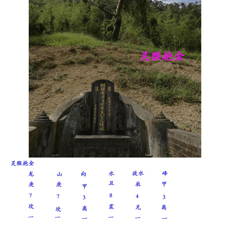 王永庆祖坟:灵猴抱金穴 王永庆祖坟:灵猴抱金穴