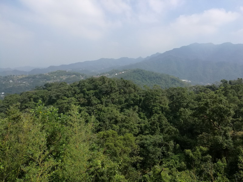 王永庆祖坟:灵猴抱金穴 王永庆祖坟:灵猴抱金穴