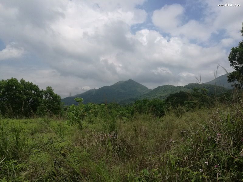 赵府【双金扛水】风水考验