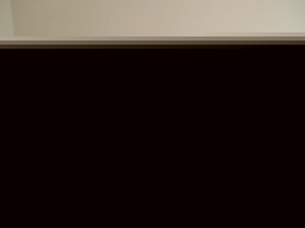 լƷʵ