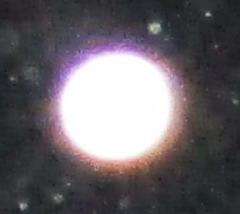 三王爷文财神土地公升坐法事（198+1）