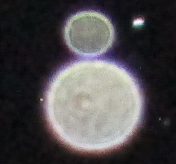 155ƽֱ