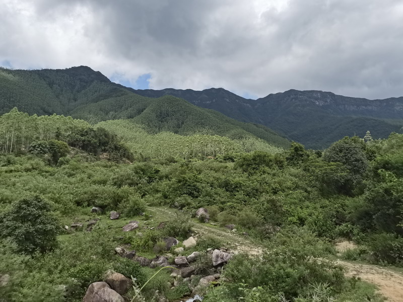 为清远市刘府点葬灵蛇出洞形